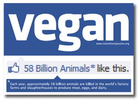 16 Millions Vegans Can’t Be Wrong