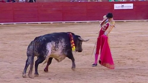 That’s Why Bullfighting Should Be Abandoned In The World