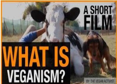 What Is Veganism And Why Everyone Needs To Go Vegan