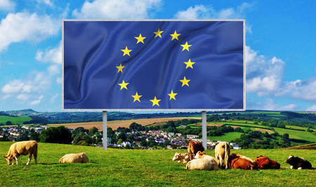 This EU Parliament Resolution Might Be The Breakthrough Vegans Had Been Waiting For