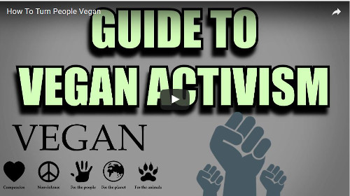 The Best Tips On How To Help People Go Vegan