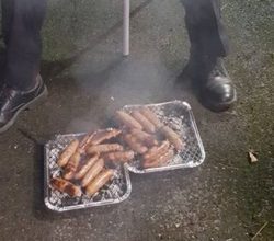 Firefighters Celebrate Rescue Of Piglets With Barbecue
