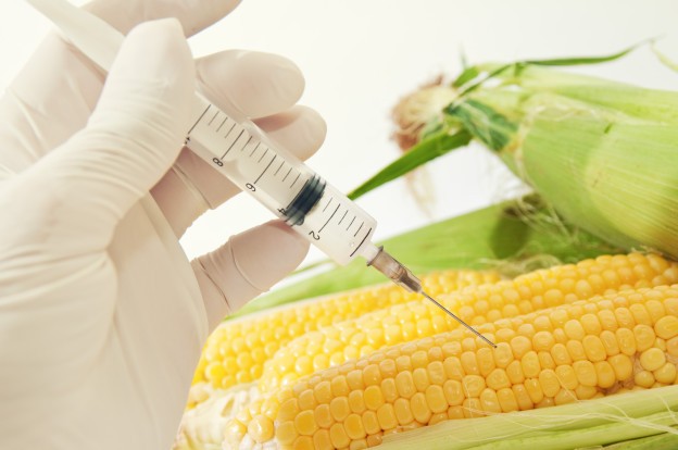 Do You Eat GMOs Without Even Knowing?