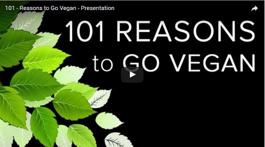 101 Reasons To Go Vegan
