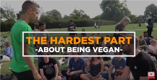 This Is Definitely The Hardest Part About Being Vegan