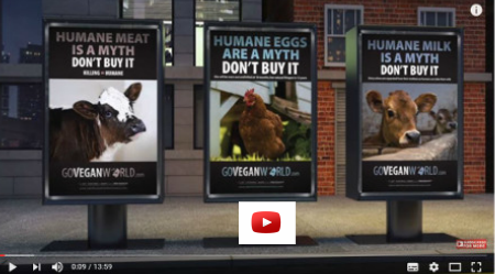 What Happens When Animals Make Their Own Ads?