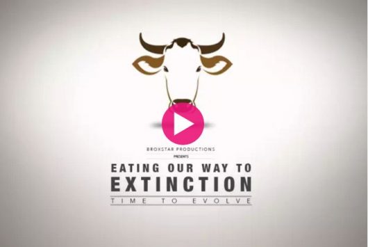 How To Eat Your Way To Extinction