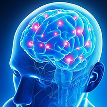 Can Turmeric Improve Brain Health?
